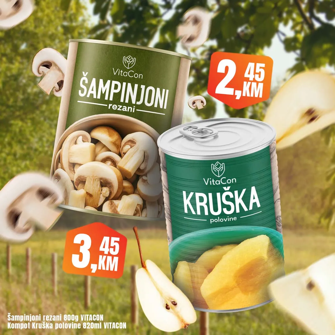 Fortuna market akcija