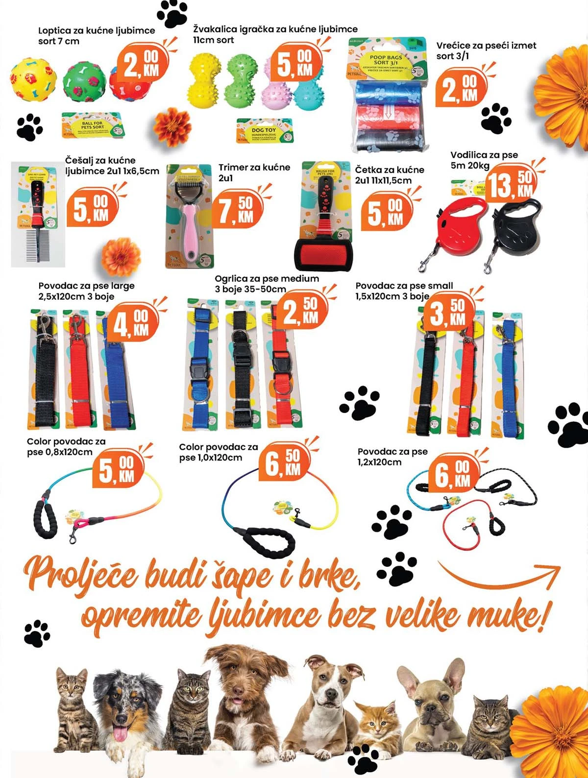 Fortuna market akcija