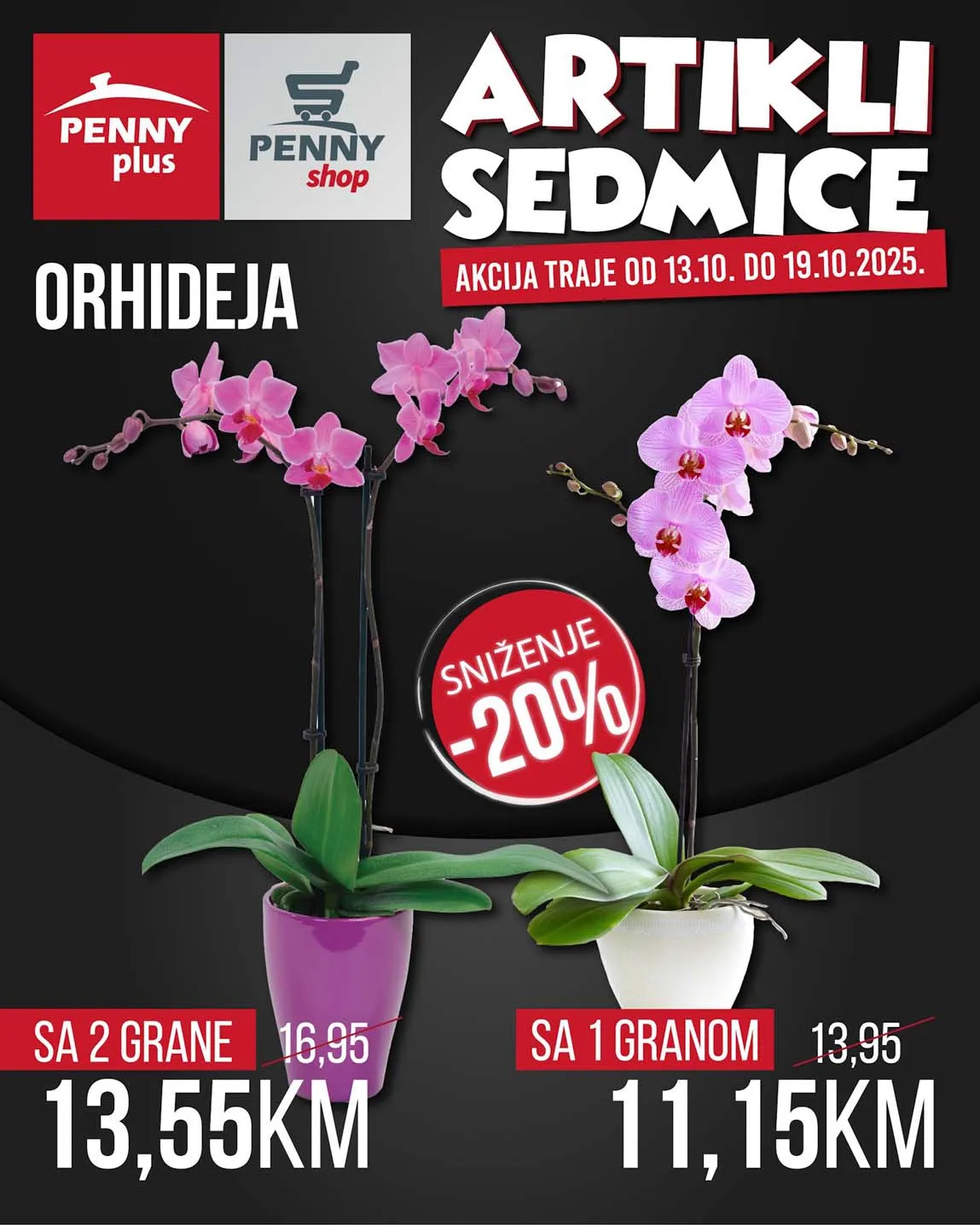 PENNY PLUS arikli sedmice