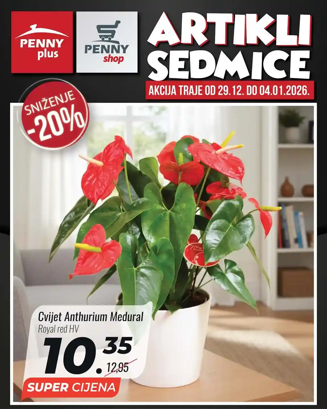 Penny plus katalog PENNY PLUS arikli sedmice