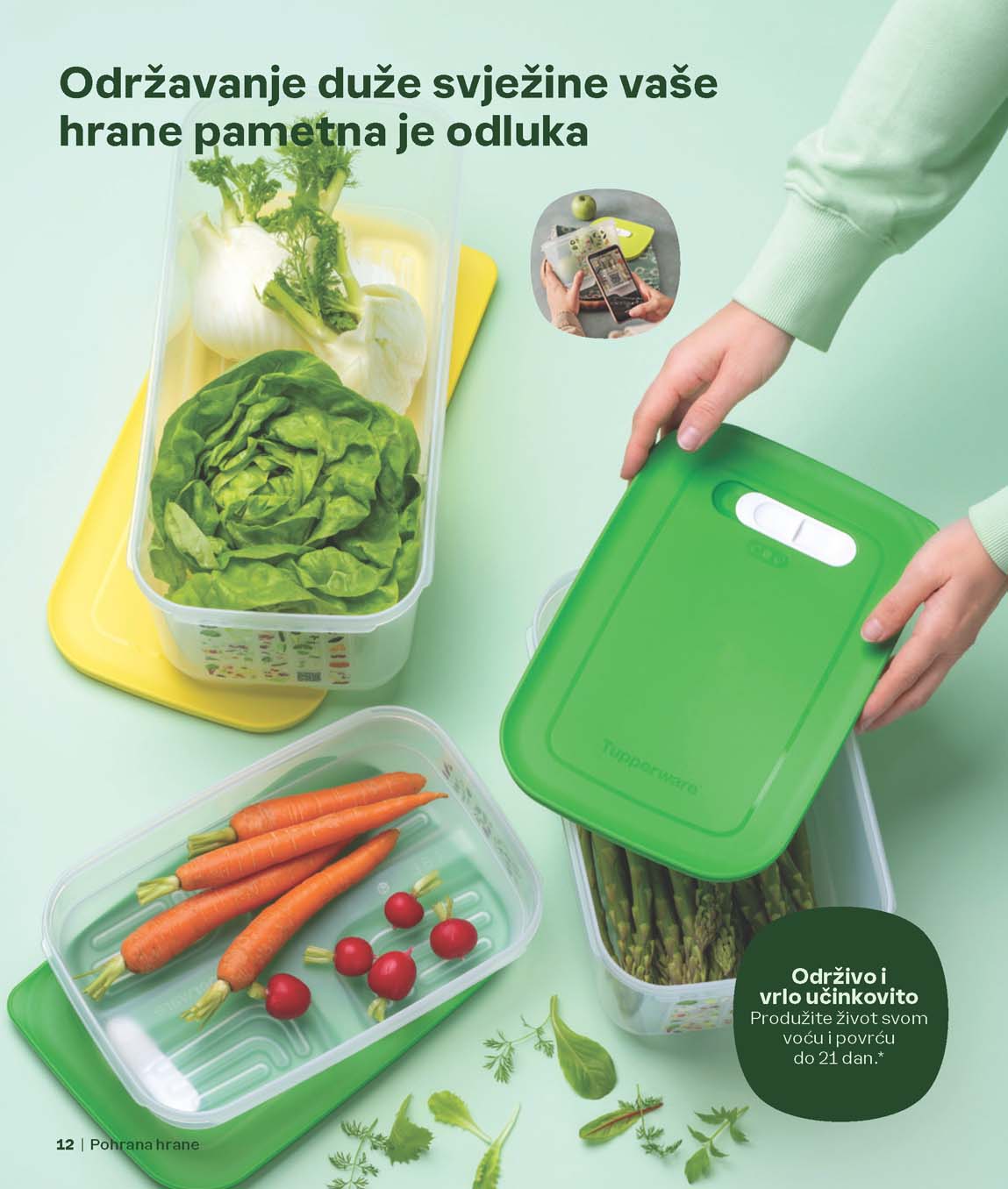 TUPPERWARE  SNIZENJA KATALOG AKCIJA